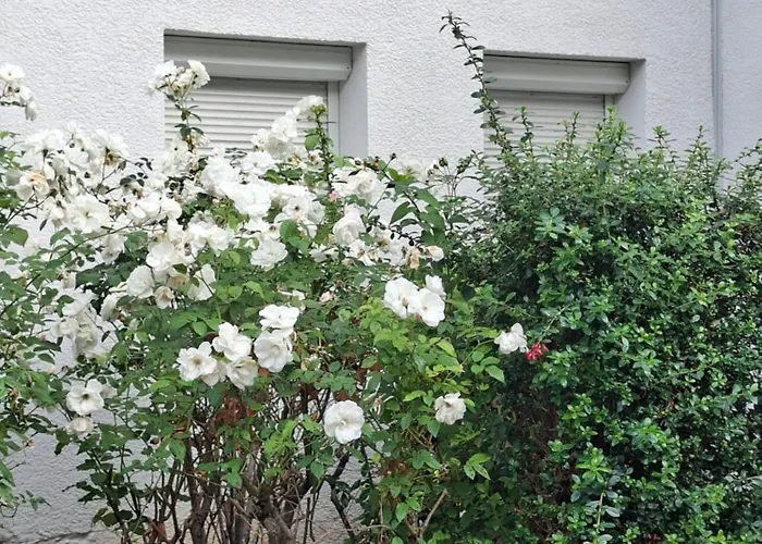 Raphaelle #2 Centre Avec Parking