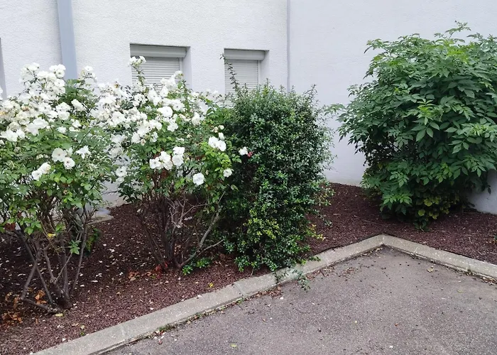 公寓式酒店 Raphaelle #2 Centre Avec Parking 勒阿弗尔